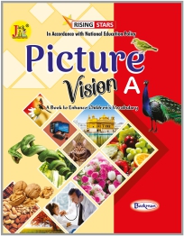Picture Vision A